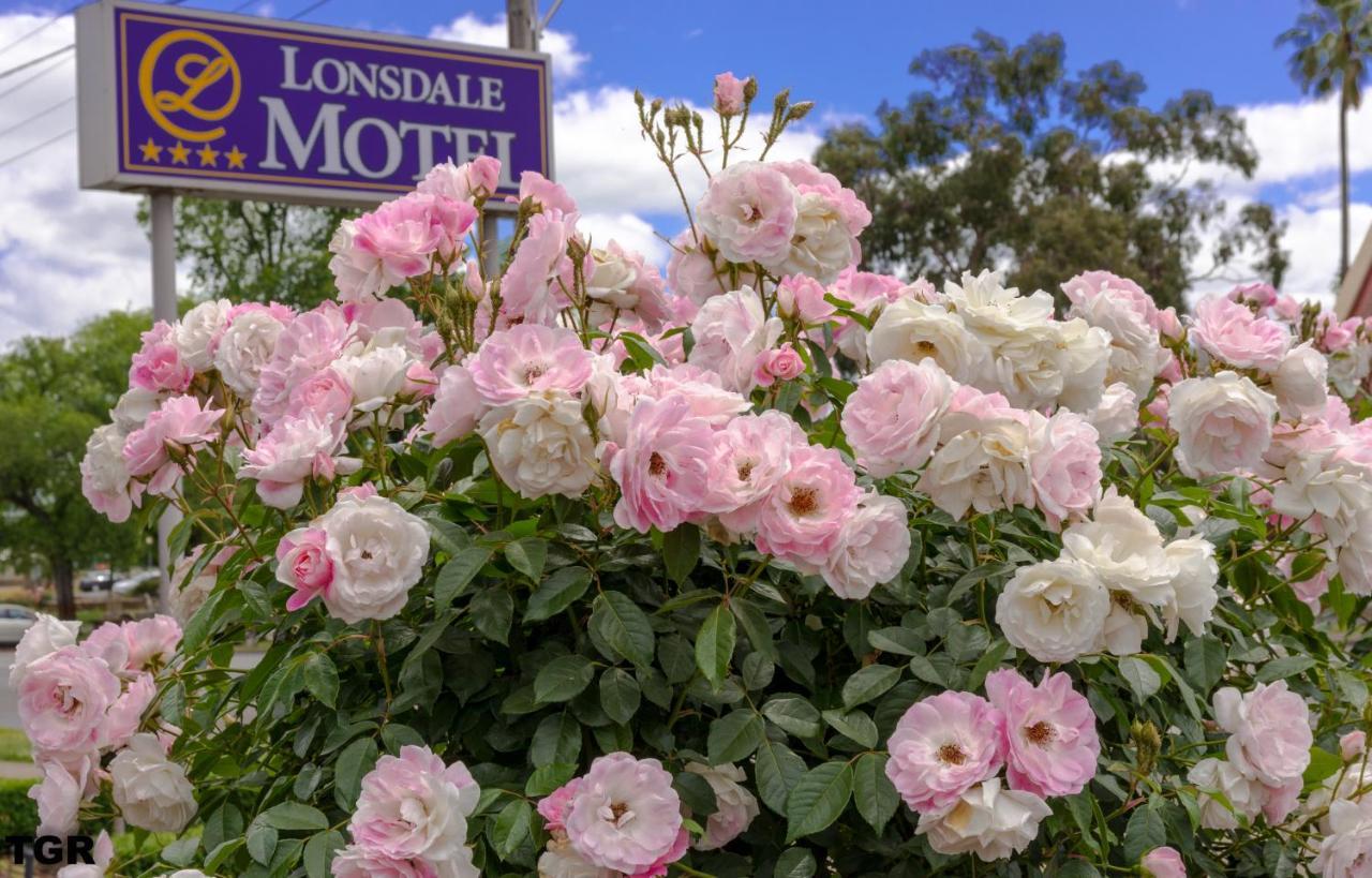 Hamilton Lonsdale Motel Esterno foto